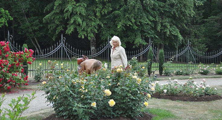 Žydintis Palangos Birutės parkas nuvilioja turistus iš J.Basanavičiaus gatvės (nuotraukų albume - parkas šiandien), nuotrauka-15