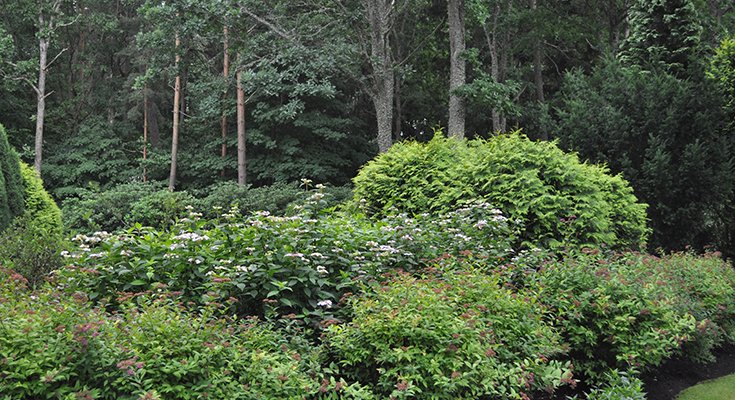 Žydintis Palangos Birutės parkas nuvilioja turistus iš J.Basanavičiaus gatvės (nuotraukų albume - parkas šiandien), nuotrauka-29