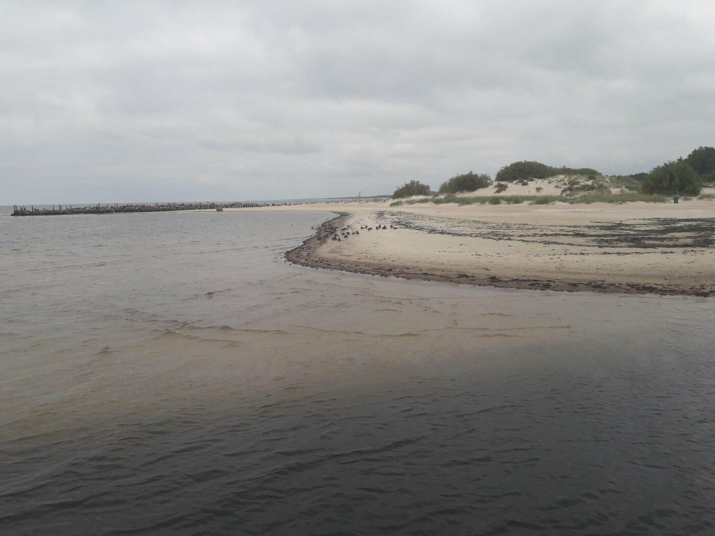 Palanga steigia Šventosios jūrų uosto direkciją (nuotraukų albumas), nuotrauka-2