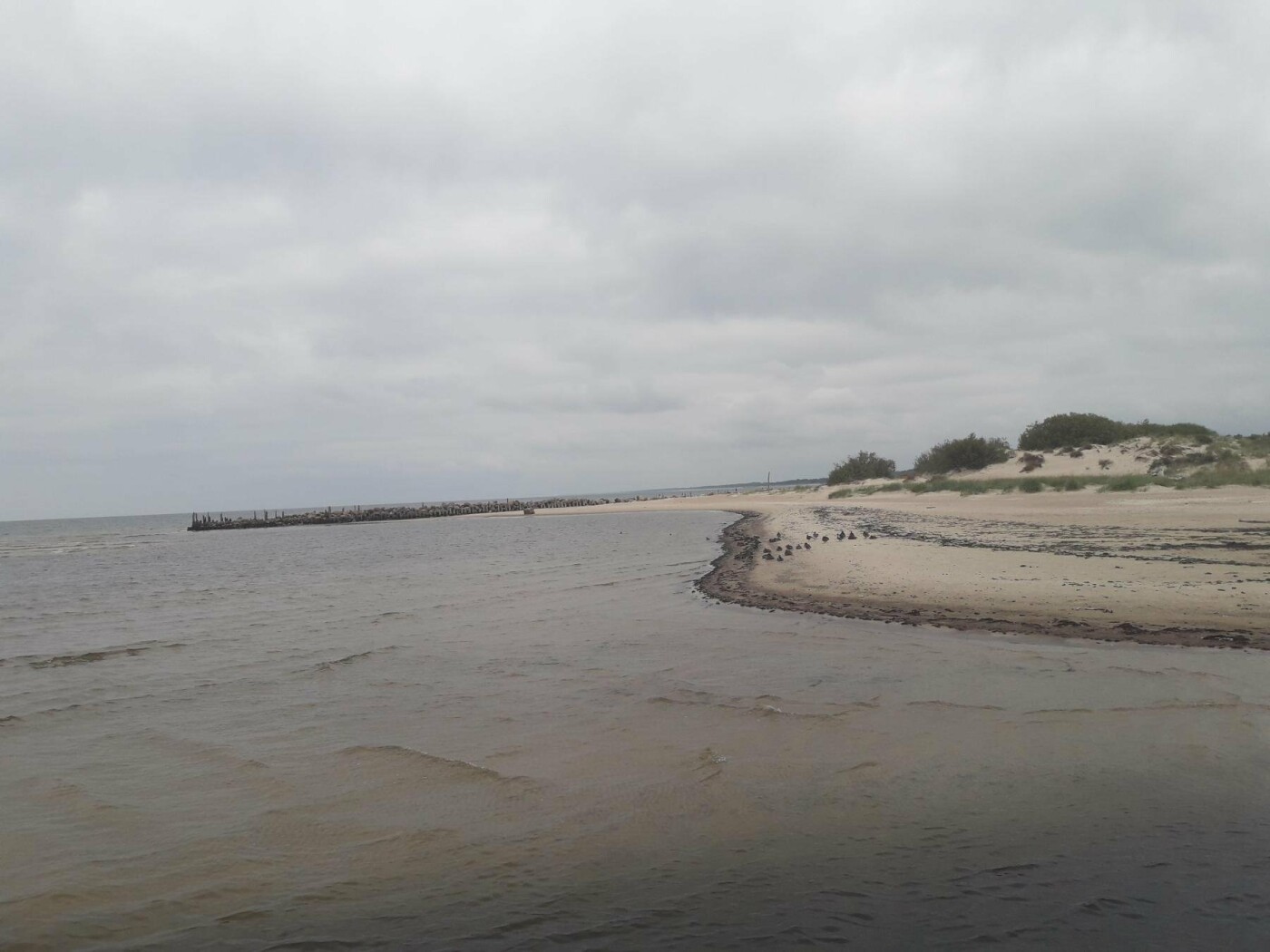 Palanga steigia Šventosios jūrų uosto direkciją (nuotraukų albumas), nuotrauka-3