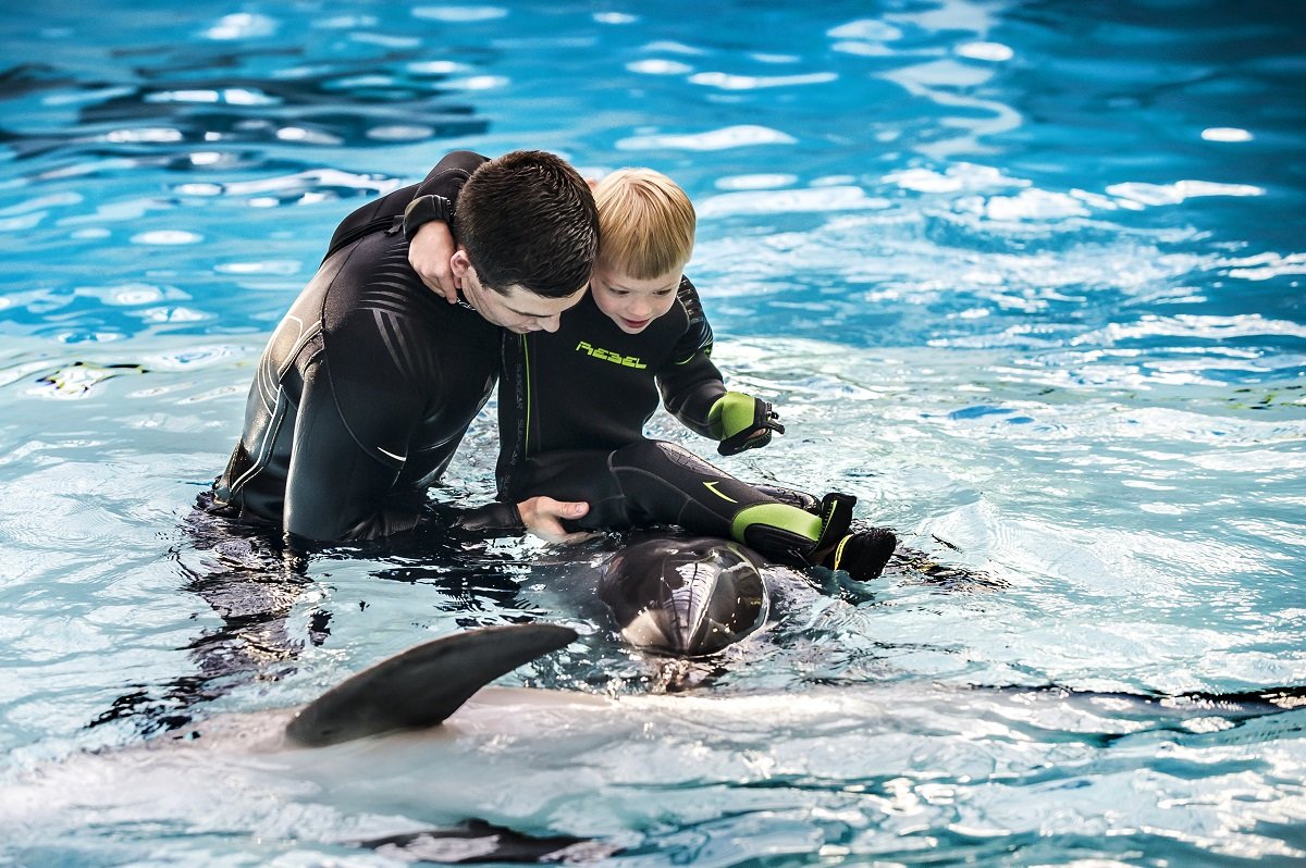 Pasimatymas su delfinais: naudą jaučia ir po metų, nuotrauka-1