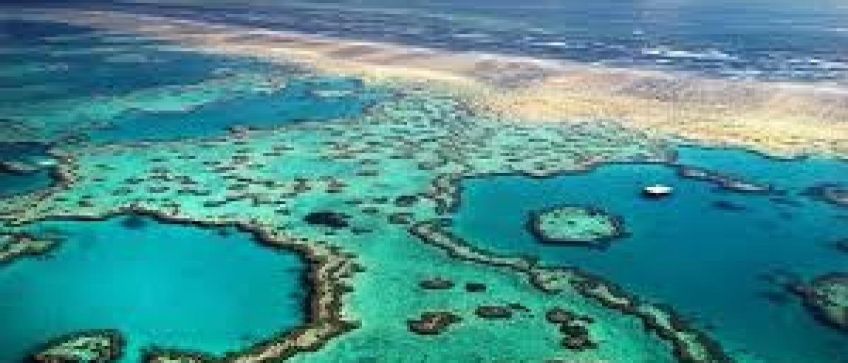 UNESCO saugomam Didžiajam Barjeriniam rifui gręsia pražūtis