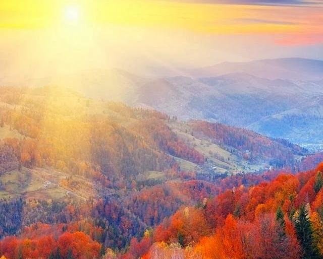 Jums depresija? O gal tiesiog trūksta vitamino D? 