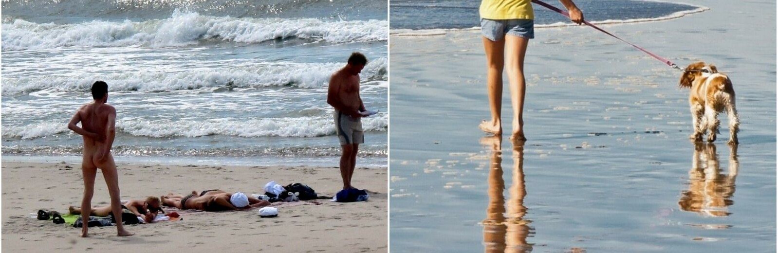 Šunys ir nudistai - viename paplūdimyje© DELFI montažas