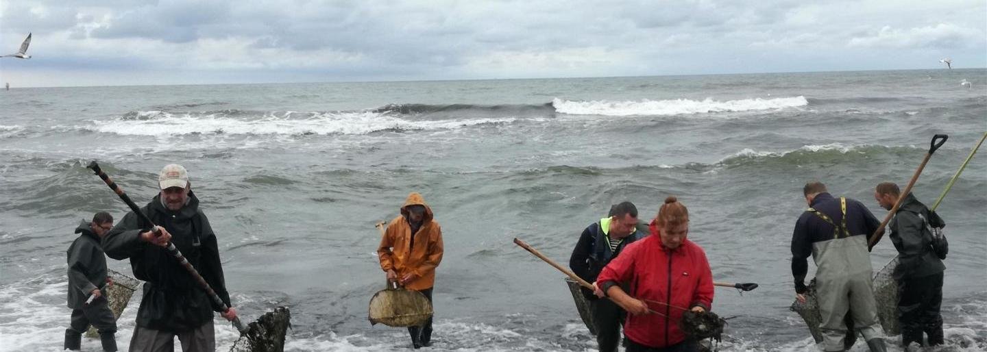 15min skaitytojo nuotr. / Gintaro gaudytojai Melnragėje