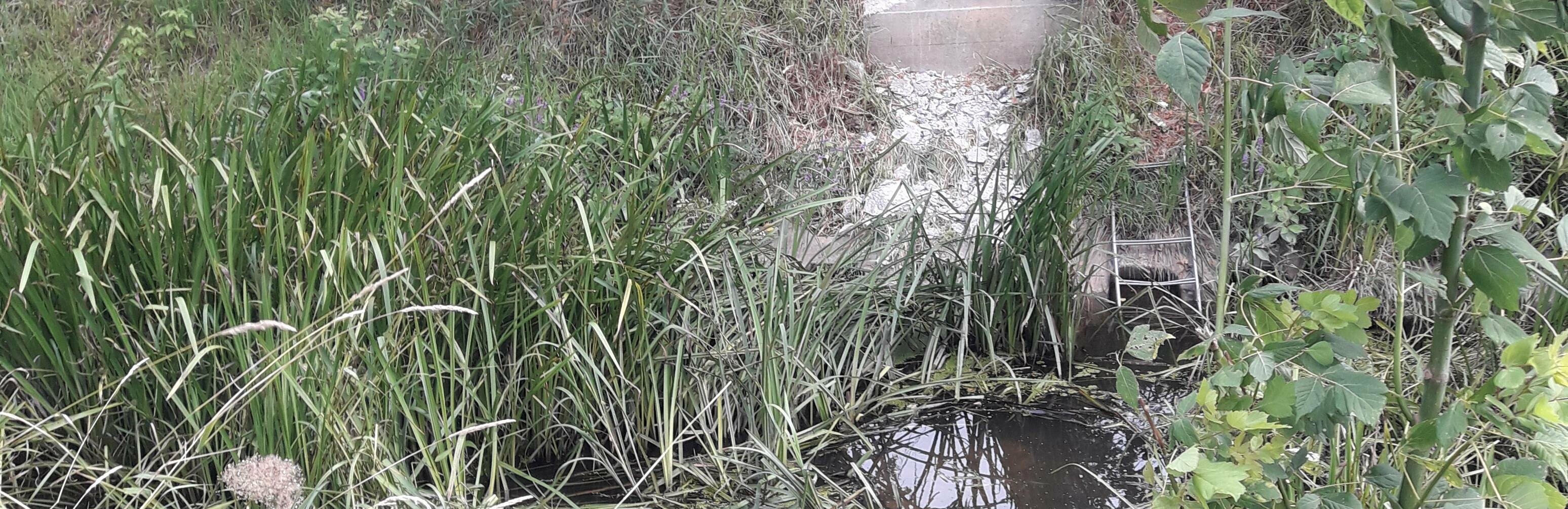 Sekmadienį dingo Žiogupės g. su Vėžių kvartalu jungęs tiltas. „V.P.“ nuotr.