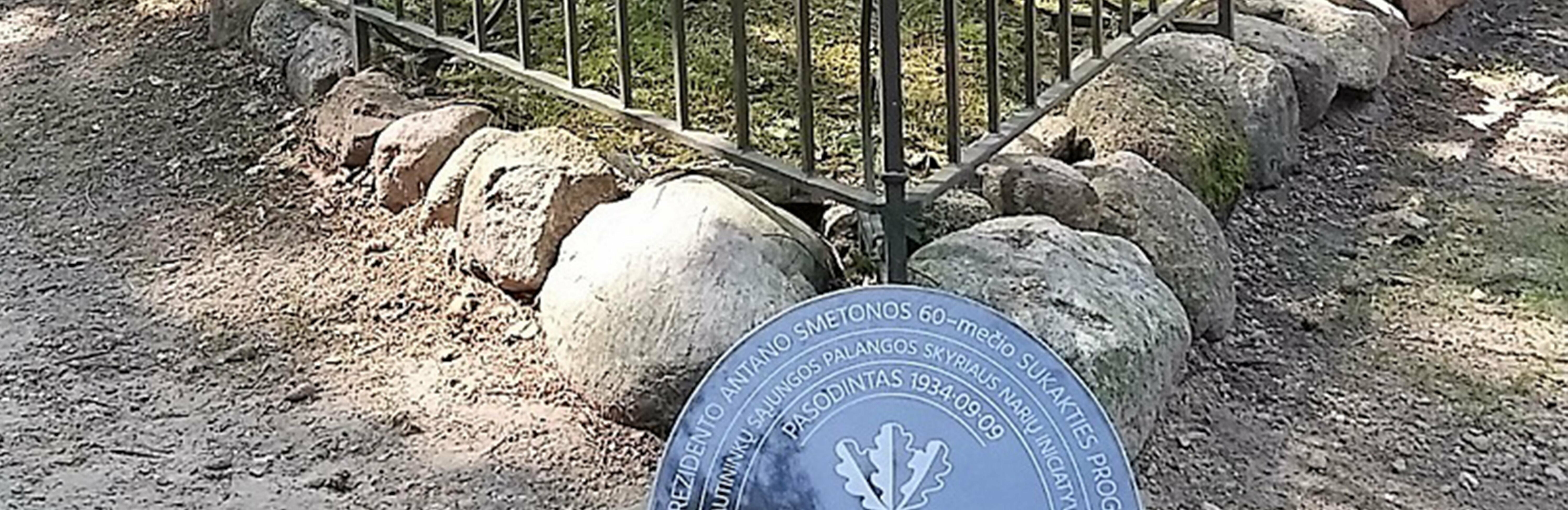 Tautos vado ąžuolo svarbą primins informacinis akmuo