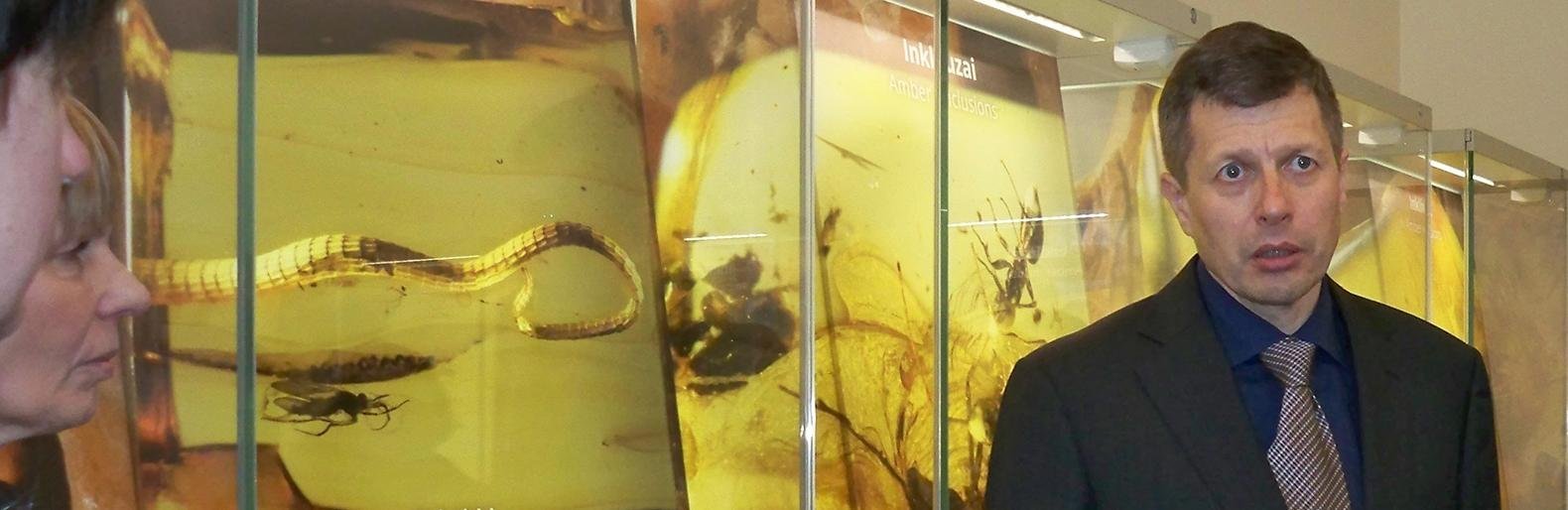 VU profesorius, gamtos mokslų specialistas Sigitas Podėnas į Palang... VU profesorius, gamtos mokslų specialistas Sigitas Podėnas į Palangą atvyko net du kartus: konsultavo edukatores, parengė gintaro inkliuzus žiūrėti...