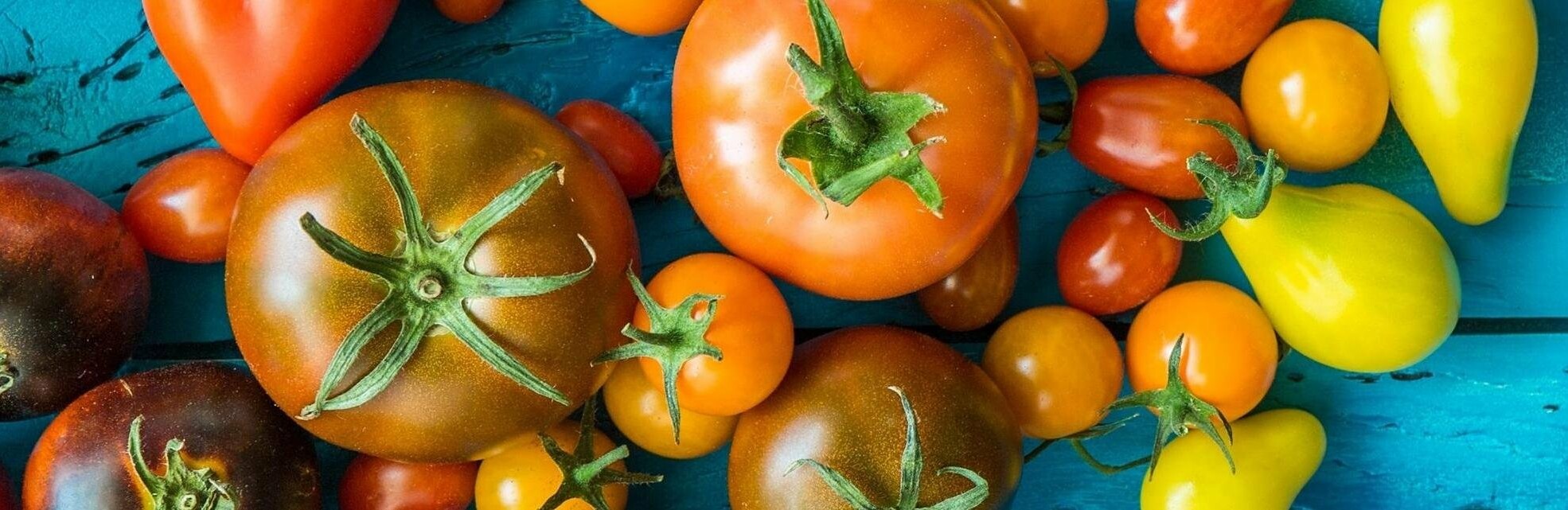  Derliaus pažiba – pomidoras. Ką įdomaus ir originalaus pagaminti?