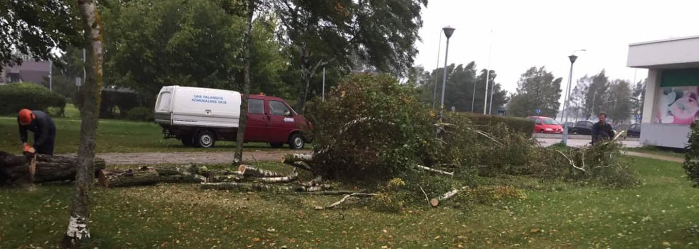 Dėl pajūryje siaučiančios audros šiąnakt Palangoje budės per trisdešimt komunalininkų (papildyta 17.30 val., vaizdo įrašai, papildyta nuotraukomis)