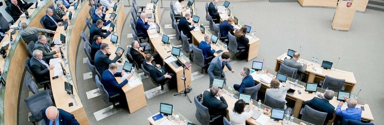 Seimas skelbia referendumą dėl dvigubos pilietybės 