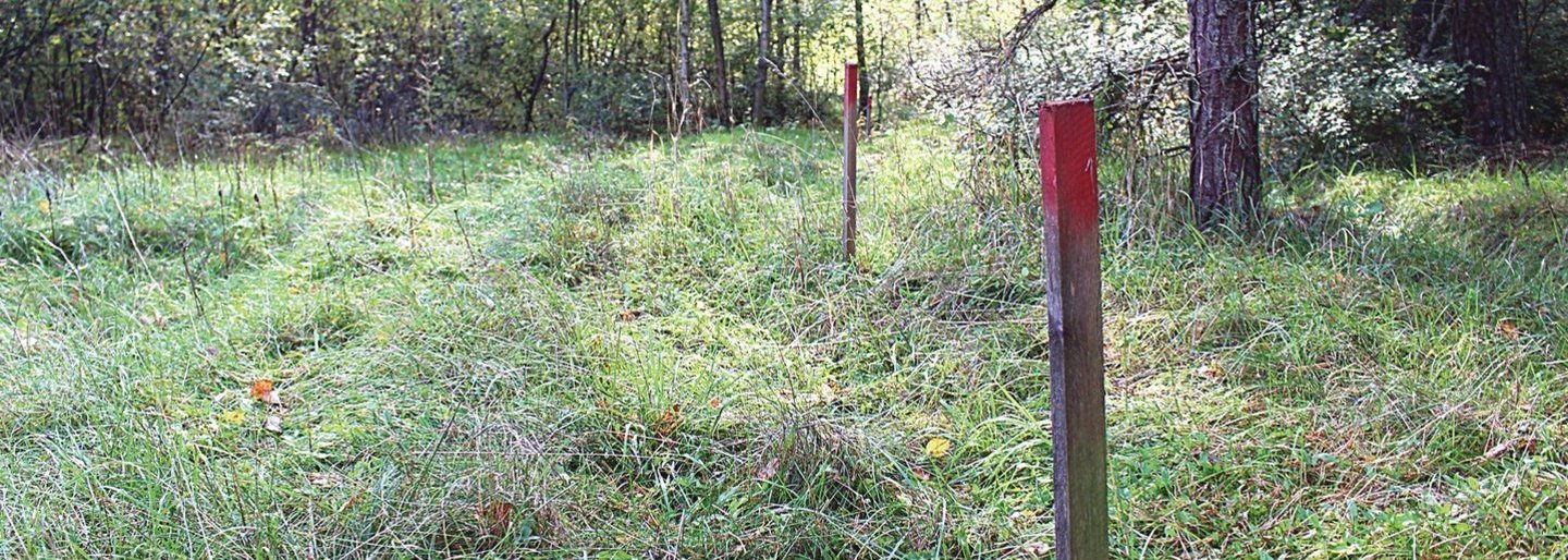 Pajūrio miške – įtartini užmojai