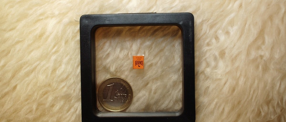 Palangiškis menininkas V. Kusas pradžiugimo nauju rekordu – mažiausia lietuviška knyga