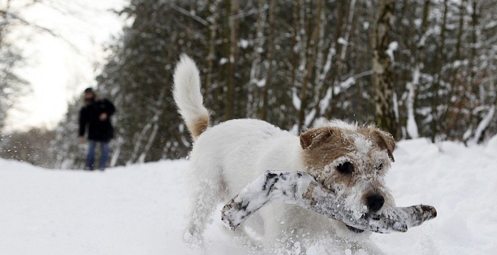 Reuters/Scanpix nuotr.