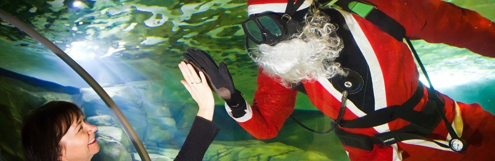 Klaipėdoje akvariume nardo Kalėdų senelis (nuotraukų galerija)