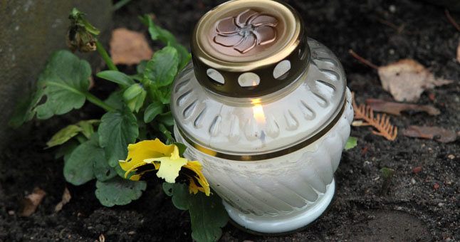 © Dainiaus Labučio (ELTA) nuotr.