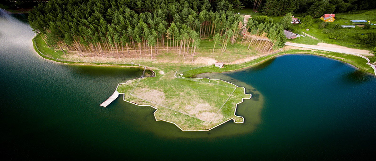 Kuo skiriasi vaikai gimę nepriklausomybės laikotarpiu ir po 1990-ųjų?