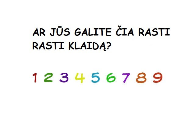 Testas "Surask klaidą"