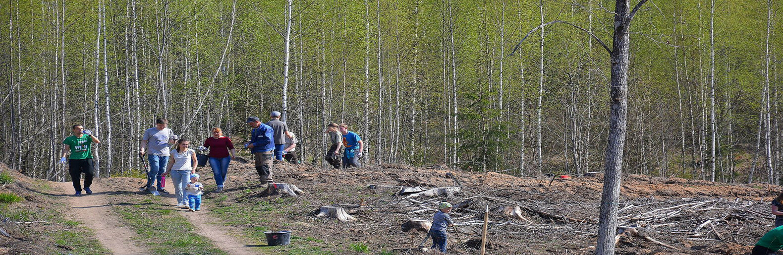 Per „Nacionalinį miškasodį 2019“ pasodinta šimtai tūkstančių sodmenų