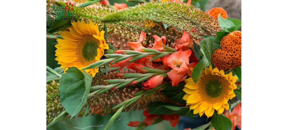 Mokslo metų pradžios šventės programa  Mokslo metų pradžios šventės programa