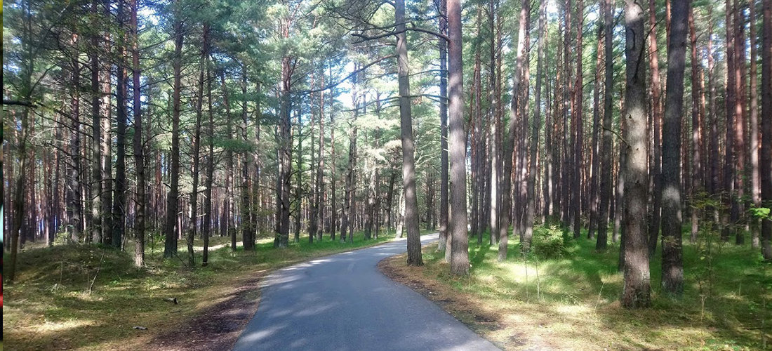 Spalio-gruodžio mėnesiais Palangos girininkijoje bus tvarkomi rekre... Spalio-gruodžio mėnesiais Palangos girininkijoje bus tvarkomi rekreacinės paskirties miškai