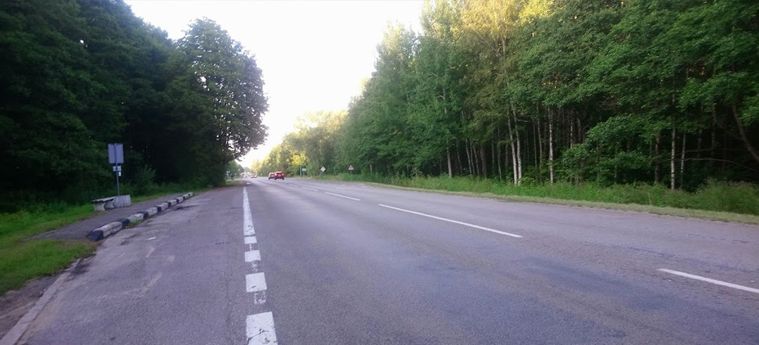  Spalio 23 d. vyks pavojingų medžių šalinimo darbai pakelėse