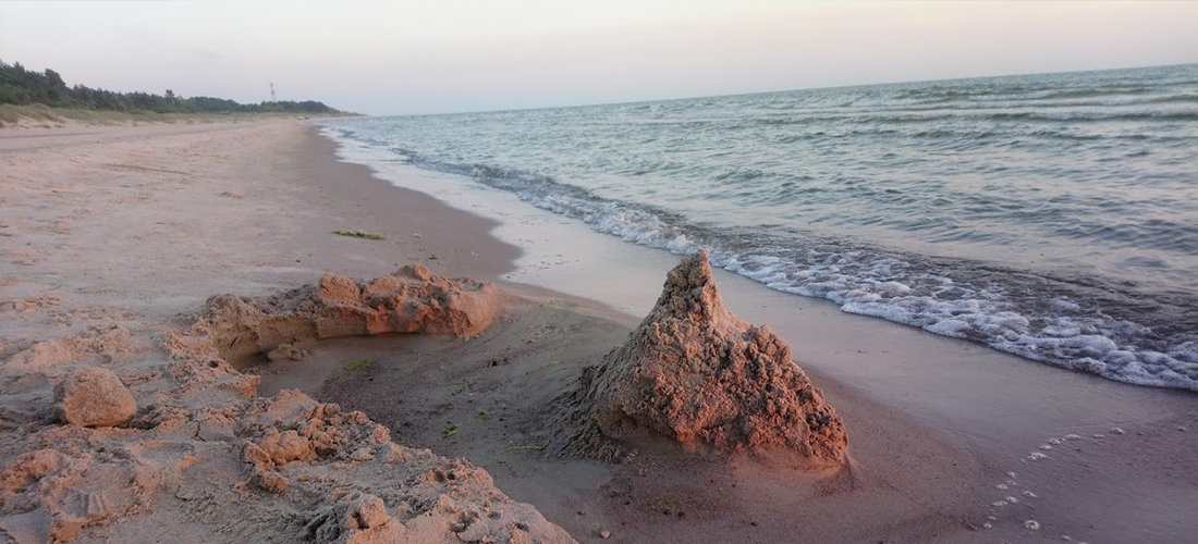 Patvirtinti seniūnaičių rinkimų rezultatai