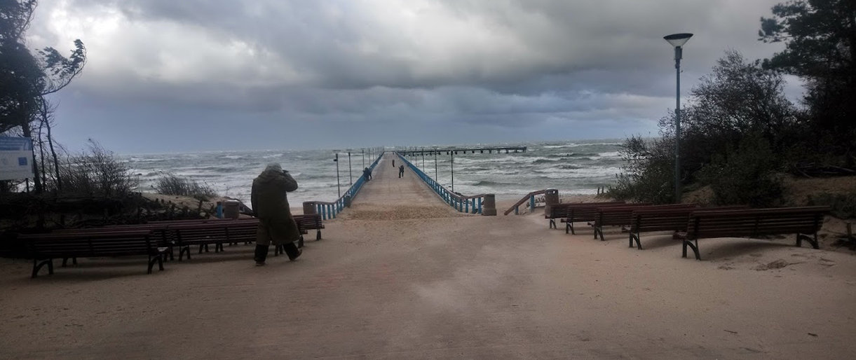 Aurimo Dovsevičiaus nuotr.