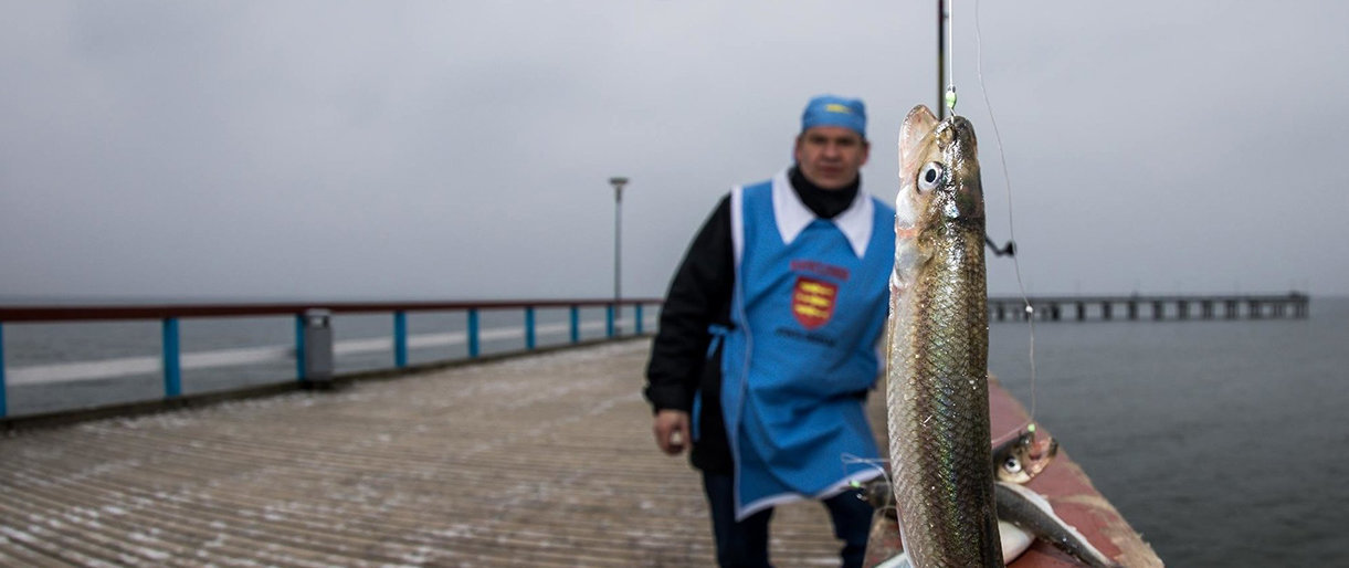 Šventės „Palangos stinta 2020“ programa