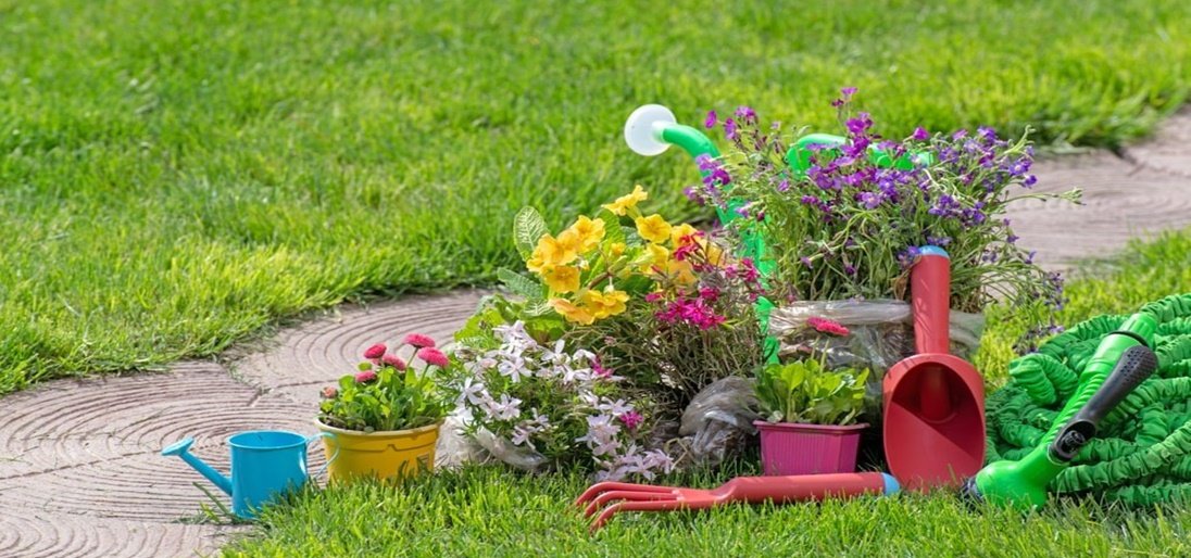 Viskas, ką reikia žinoti apie gėlyno formavimą