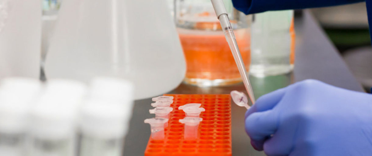 Kretingos rajone vėl tirs intensyviau