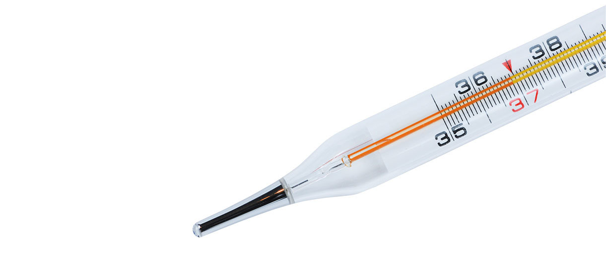 Termometras / Vida press nuotr.