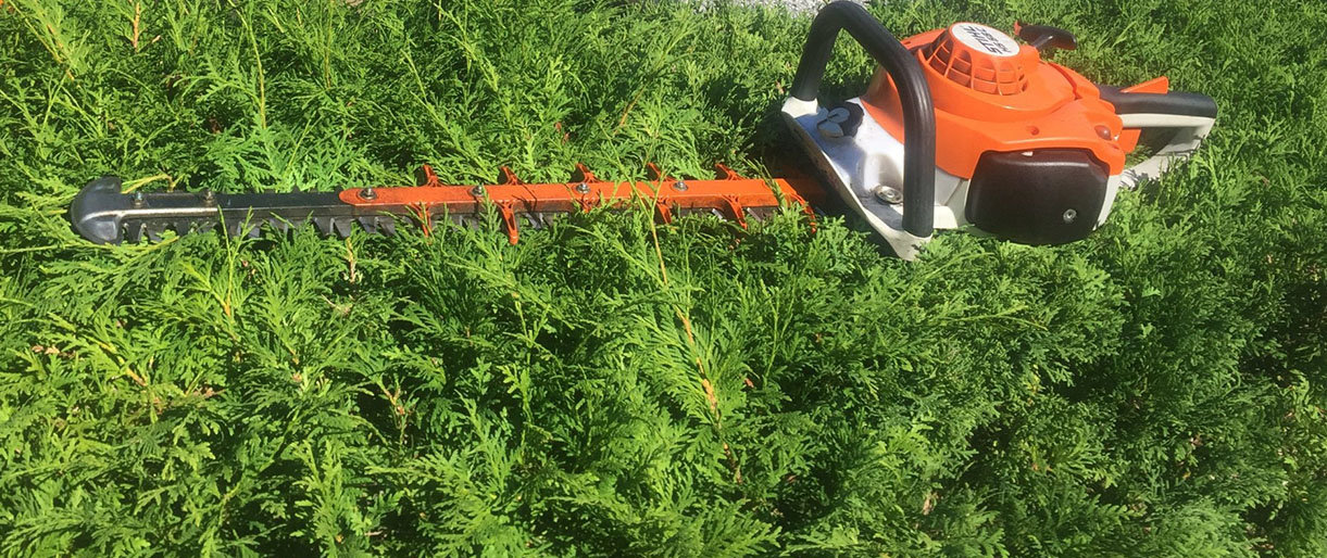 Rugpjūčio 26 - 27 dienomis kapinėse bus kerpamos kapinių gyvatvorės