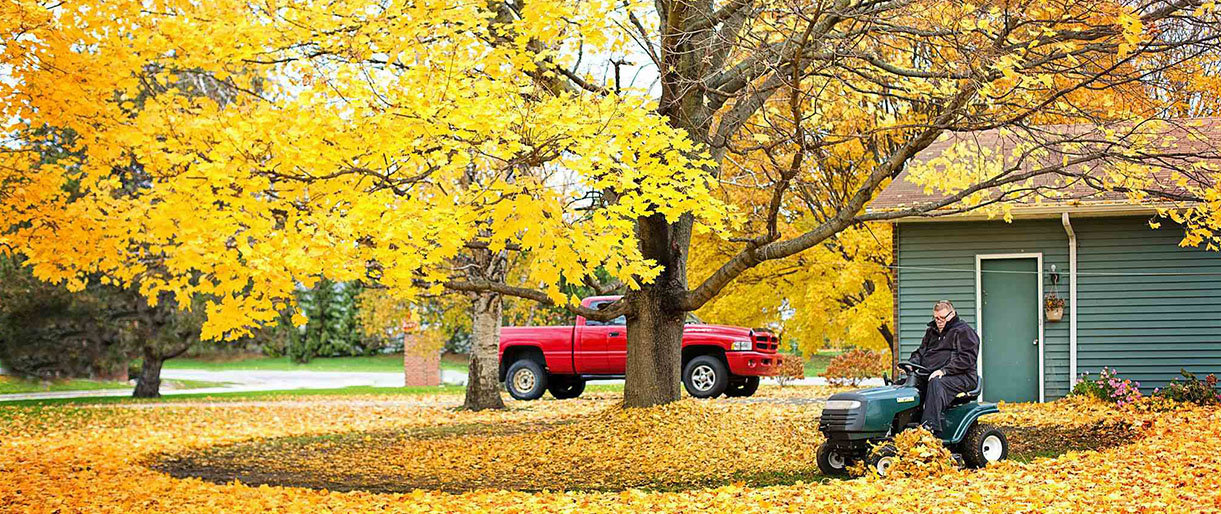 Aplinkosaugininkai primena: nukritusius lapus deginkite atsakingai