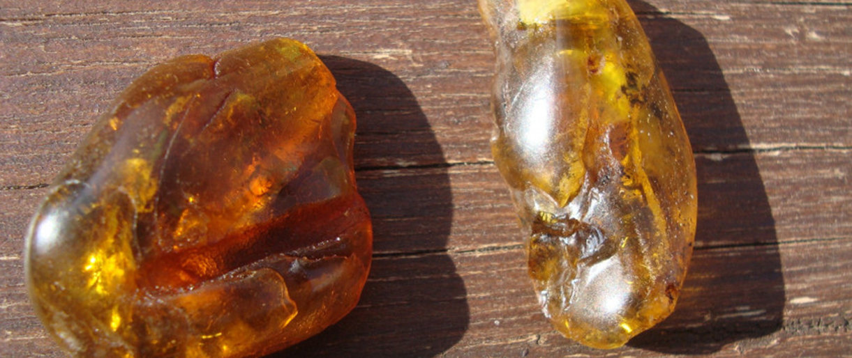 Baltasis fosforas: būkite atsargūs rinkdami gintarą