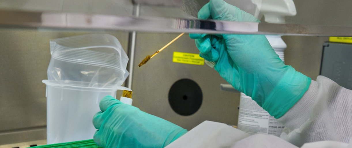 Patvirtinta nauja izoliacijos tvarka galimai imunitetą COVID-19 turintiems žmonėms